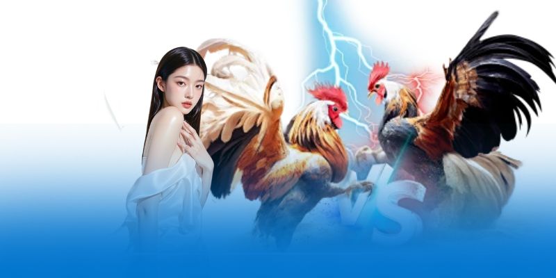good88-cung-cap-nhieu-hinh-thuc-the-loai-thi-dau-khac-nhau